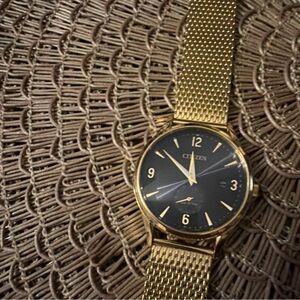 Citizen Men's Watch with Gold Mesh Band and Black Dial